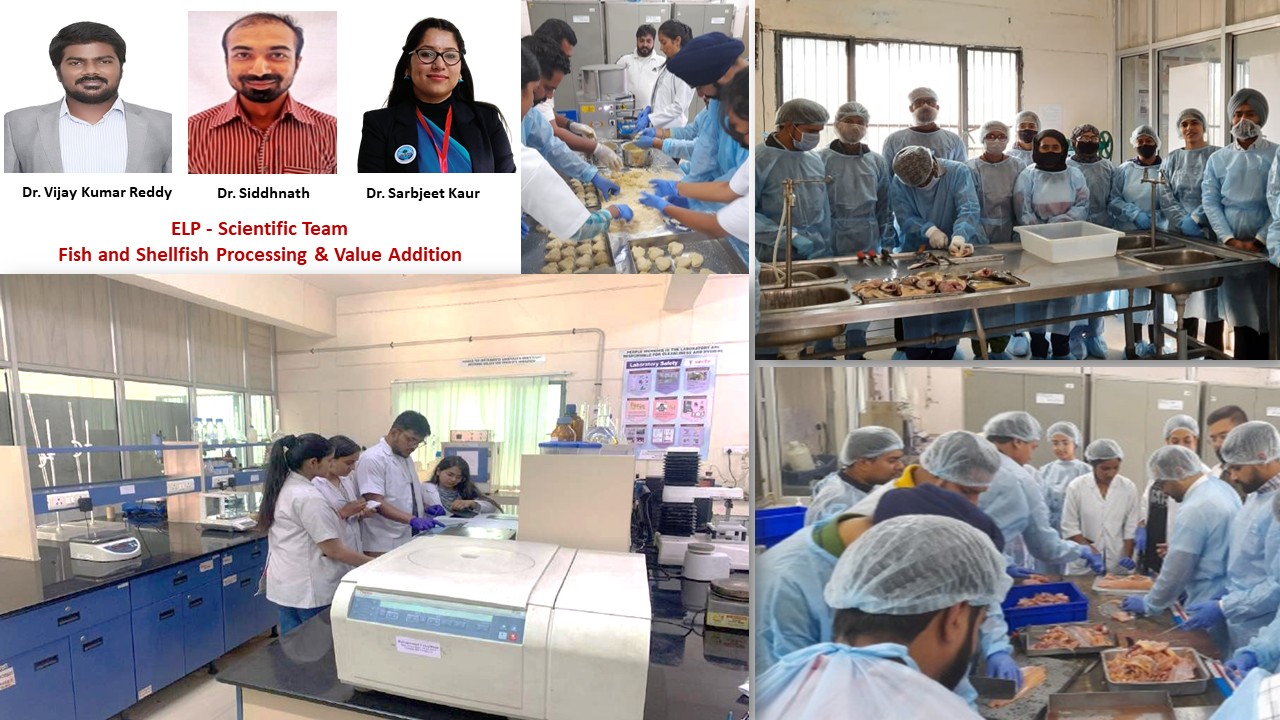 Vet Varsity Gets ICAR funded Experiential Learning Program in Fish and Shrimp Processing